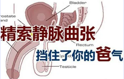 为什么蛋蛋经常湿哒哒，又不好意思跟人说....(图2)