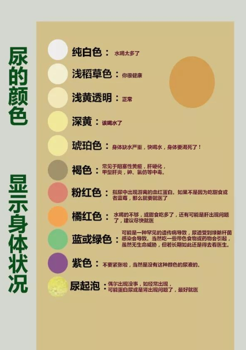 尿尿后看一眼，等于一次体检！又能省钱了~(图2)